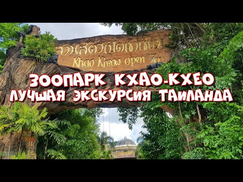 Видео: Зоопарк в Паттайе Кхао Кхео! Остров лемуров! Лучшая экскурсия в Паттайя! Khao Kheow Open Zoo!