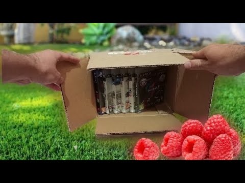 Видео: Небольшой игрозакуп PS3 PS4 и малина