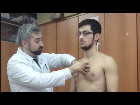 Видео: Перкуссия сердца