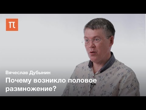 Видео: Размножение с точки зрения женского мозга — Вячеслав Дубынин