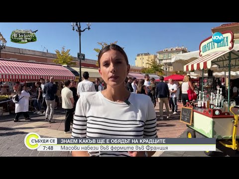 Видео: Масови кражби във Франция: Задигат тонове плодове и зеленчуци от ниви и градини - Събуди се