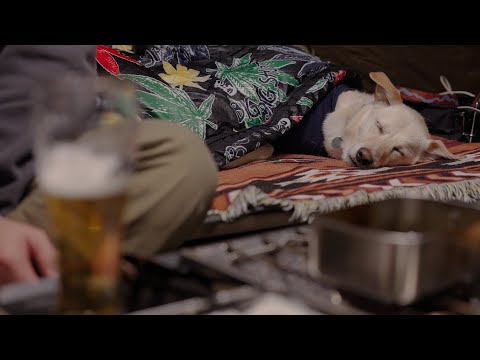 Видео: Холодно снаружи, уютно внутри: зимний кемпинг с собакой