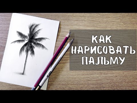 Видео: УРОК 2 - КАК ЛЕГКО НАРИСОВАТЬ ПАЛЬМУ | Нарисовать пальму поэтапно  | детальный разбор!