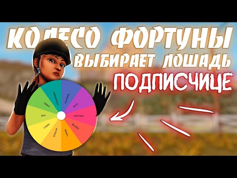 Видео: КОЛЕСО ФОРТУНЫ ВЫБИРАЕТ ЛОШАДЬ ДЛЯ ПОДПИСЧИЦЫ | STAR STABLE