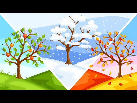Видео: ПРО ПОГОДУ и ВРЕМЕНА ГОДА для детей | Изучаем погоду и времена года