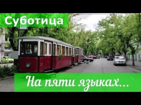 Видео: Суботица.  На пяти языках.