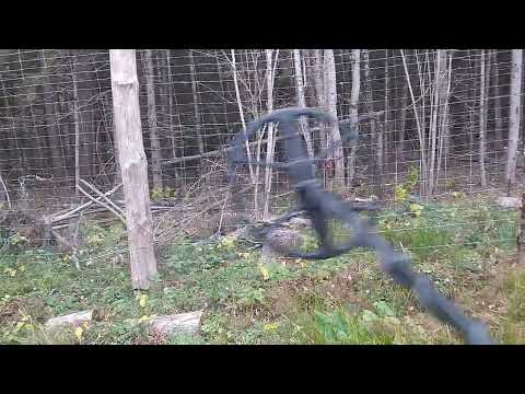 Видео: Troy Shadow x5 и 13DD