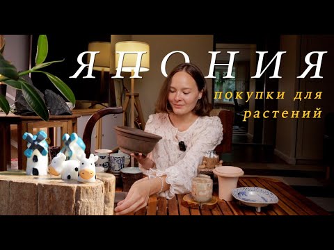 Видео: ЯПОНИЯ | Покупки для растений, ИКЕА, барахолка