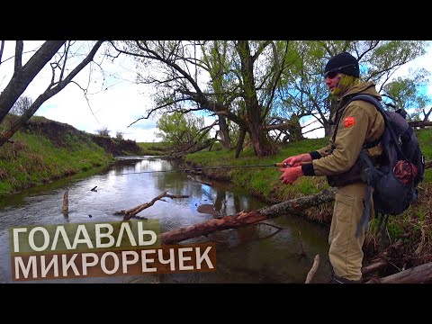 Видео: Голавль на микроречке. Голавлемания 2022 открыта