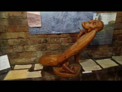 Видео: Колпашевский яр