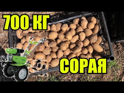 Видео: ЗАСЯВАНЕ НА КАРТОФИ + НОВА ФРЕЗА