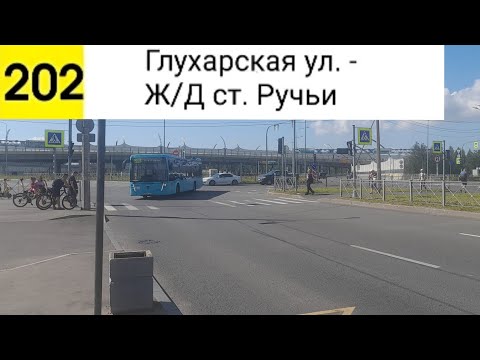 Видео: Автобус 202. Глухарская ул. - Ж/Д ст. Ручьи