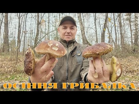 Видео: ГРИБНЕ ЩАСТЯ,,,2,11,2025Р,,, ГРИБНИК ПІЙМАВ ТРІП,,,ВИХІДНИЙ У ЧАРІВНОМУ ЛІСІ...