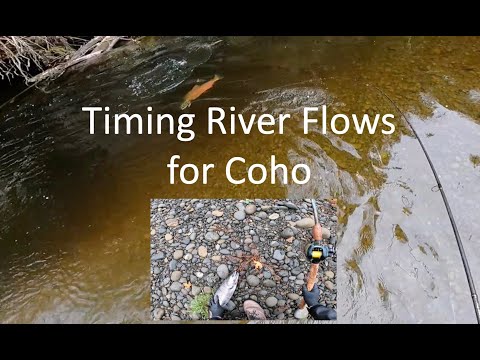 Видео: Время течения реки для кижуча — как избежать того, чтобы кижуч сошел с ума!