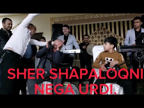 Видео: ШЕР ШАПАЛОГНИ НЕГА УРДИ SHER SHAPALOGNI NEGA URDI 🤕😱😯