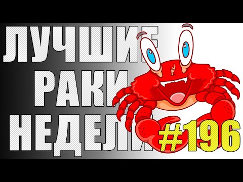Видео: ЛРН выпуск №196. БЕЗУМИЕ НА МОНАСТЫРЕ и ФРАНЦУЗСКОЕ ТАНГО [Лучшие Раки Недели]
