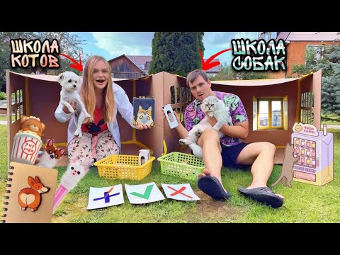 Видео: ОБМЕН КОШАЧЬИ vs СОБАЧЬИ КАНЦТОВАРЫ В КАРТОННЫХ ШКОЛАХ