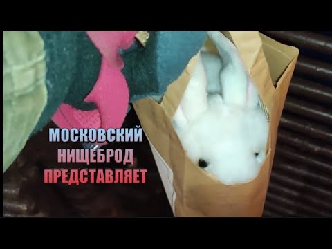Видео: Обогащаюсь на мусорках Москвы.В центр  за двумя зайцами...