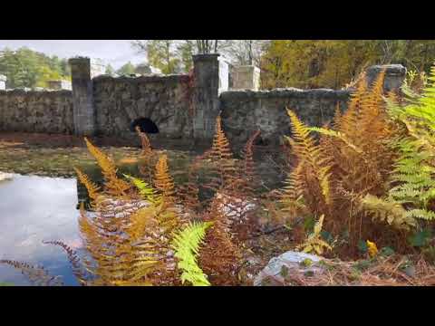 Видео: "Осенняя грусть"