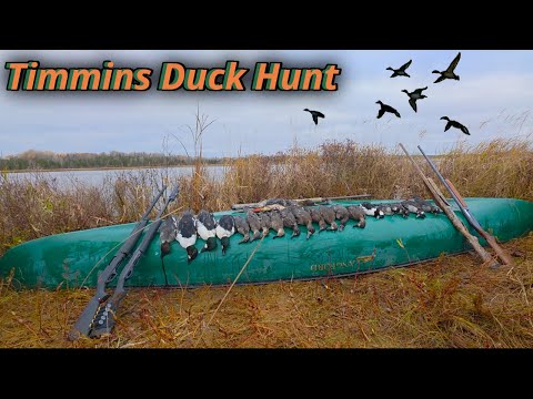 Видео: Лучшая охота на уток в этом сезоне | Более 20 уток добыто в Тимминсе, Онтарио