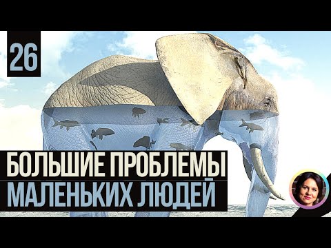 Видео: Большие проблемы маленьких людей. Темная сторона личности