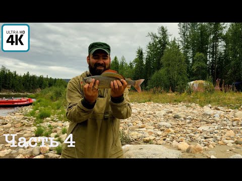 Видео: Путешествие о котором мечтает каждый рыбак (ч. 4) | Жизнь в лесу, ловим хариуса, варим уху, малосол