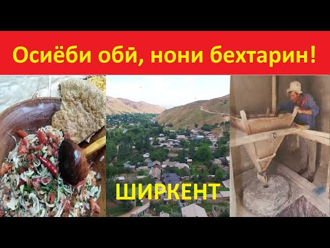 Видео: Осиёби оби, нони бехтарин дорад!!!