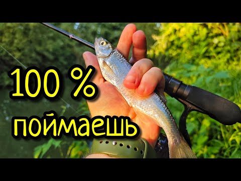 Видео: МОРМЫШИНГ , КАК ЛОВИТЬ БЕЗ МОРМЫШЕК !!! ПРОСТАЯ ОСНАСТКА ДЛЯ МОРМЫШИНГА !!!