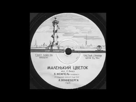 Видео: МАЛЕНЬКИЙ ЦВЕТОК исп. Б. МЕМПЕЛЬ (кларнет), Эстрадный оркестр под рук.  А.ВОННЕБЕРГА (ГДР)