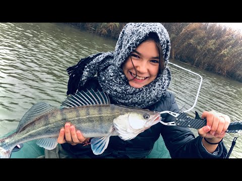 Видео: Где искать судака осенью?! Речная рыбалка на судака осенью. Судак на Днестре.