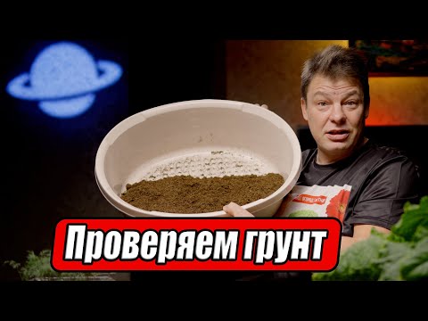 Видео: Как проверить грунт для посадки рассады единственный 100% способ