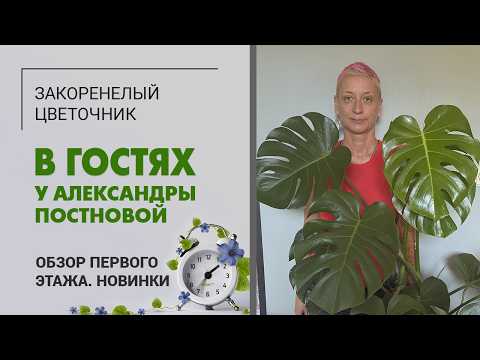 Видео: В гостях у Александры Постновой. Новинки. Цветущие растения. Обзор первого этажа. Июль 2025г.