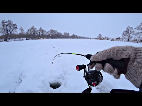 Видео: НЕ ЗРЯ ВЕРНУЛСЯ В МЕТЕЛЬ К ХОЛОДНЫМ ЛУНКАМ! Ловля щуки на балансир. Зимняя рыбалка 2024.