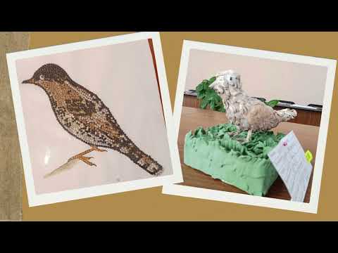 Видео: Птах року 2025