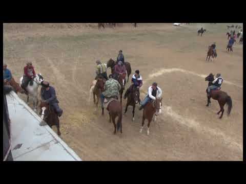 Видео: БУЗКАШИ ДАР ШАХРАКИ ГУСАР ( кисми 4 )