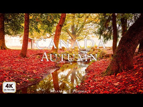 Видео: Осень в Канаде 4K 🍁 Релаксационный фильм 4K — Потрясающая природа с расслабляющей музыкой