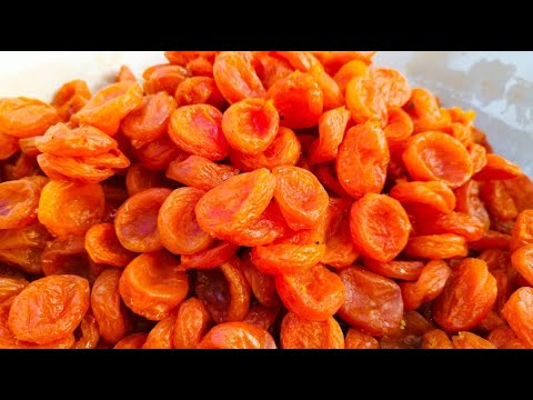 Видео: ТАДЖИКИ как делают курагу из абрикосов || КУРАГА || АБРИКОС