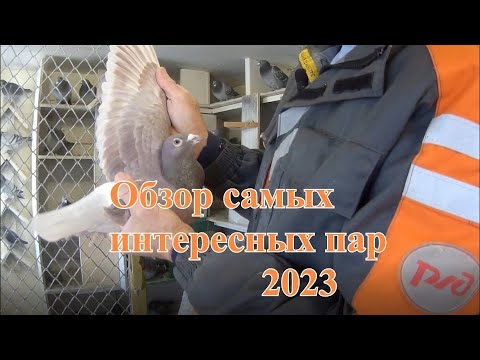 Видео: Короткий обзор моих интересных пар