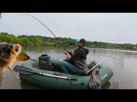 Видео: Вся РИБА збилась під корчами!  Вудка в ДУГУ від цих кабанів!  На ПОПЛАВОК короп викручує руки!