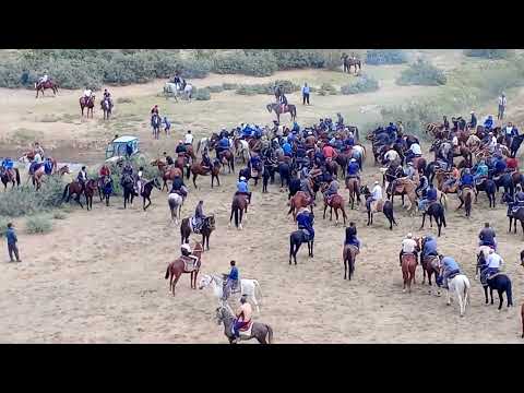 Видео: калилиндан лочин акани купкариси