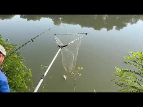 Видео: Рыбалка на Кубани. Сазан сломал удочку