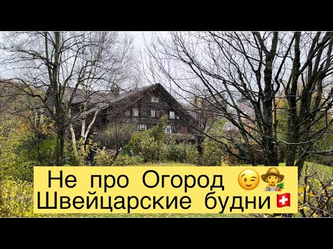 Видео: НЕ ПРО ОГОРОД 😉👩‍🌾ШВЕЙЦАРСКИЕ БУДНИ 🇨🇭