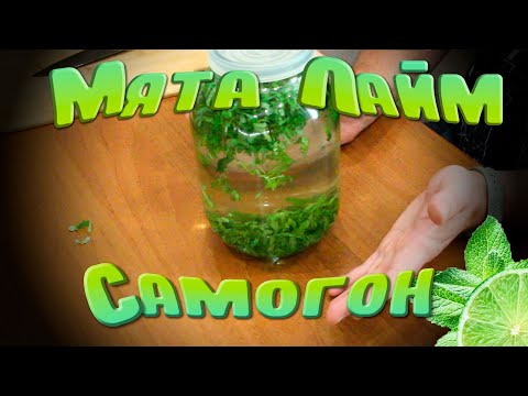 Видео: Настойка на мяте с лаймом, очень летний вкус)
