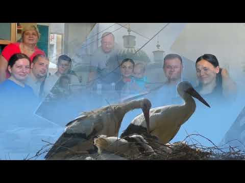 Видео: ДОВГА ДОРОГА ДОДОМУ