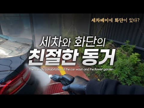 Видео: Тепло мыли машину зимой на автомойке с цветочными клумбами.