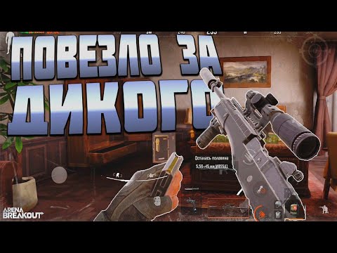 Видео: ARENA BREAKOUT! ПОВЕЗЛО ЗА ДИКОГО!