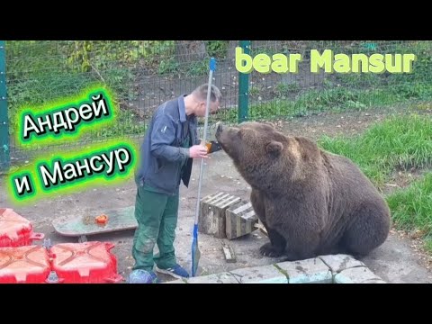 Видео: Мансур и Андрей 🐻 Mansur and Andrey_7/10/25