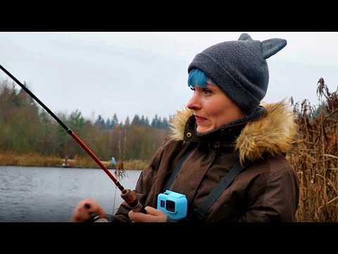 Видео: За щукой на Косачи. Контрольная рыбалка на платнике со спиннингом год спустя (10.11.2018) #73