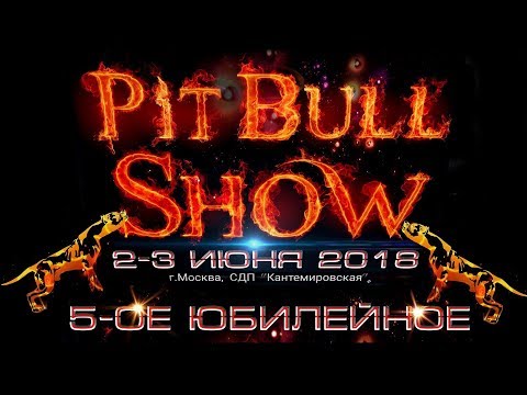 Видео: Pitbull Show Moscow 2018г. апбт. американский питбультерьер, американский стаффордширский терьер.