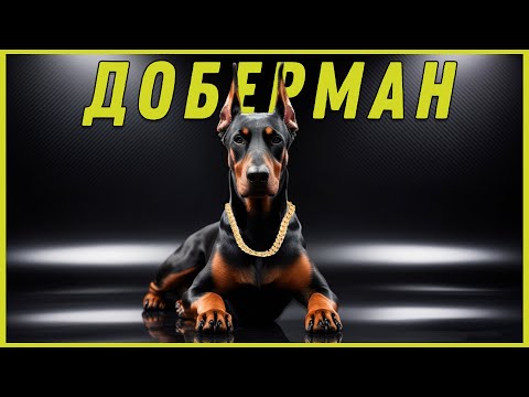 Видео: Доберман | Какво трябва да знаем за породата